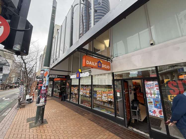 1/1 Manners Street Te Aro_3