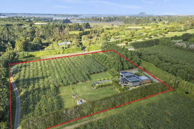 50 Emeny Road Whakamarama_4