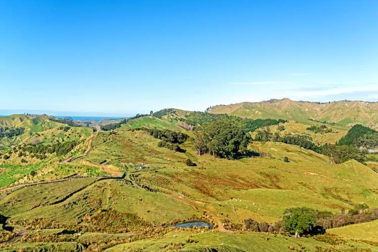 758 Glenroy Road Whangara_11