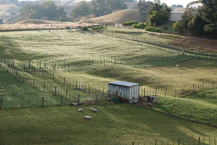 537 Apley Road Puketapu_24