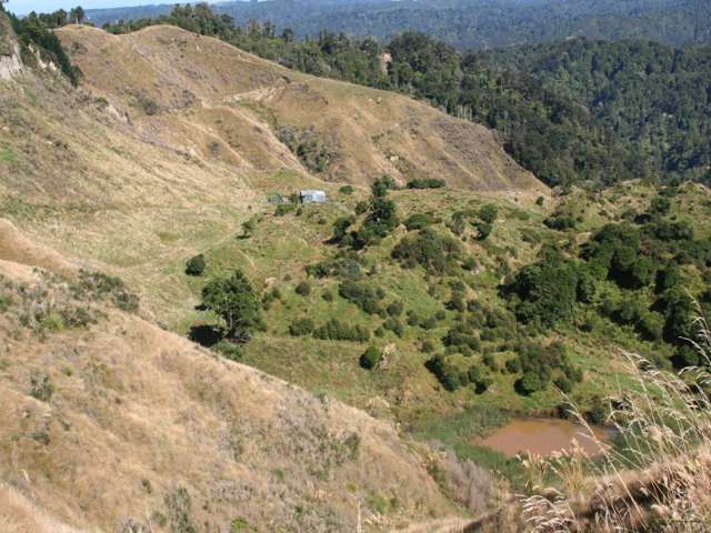 1231 Okahutiria Road Waverley_1