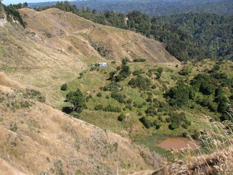 1231 Okahutiria Road Waverley_1