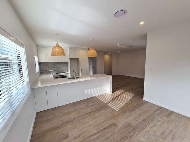 156B Te Awa Avenue Awatoto_4