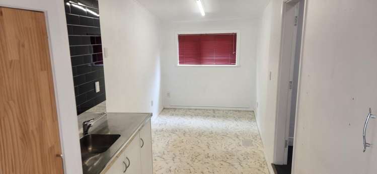 4/4 Taurima Street Hataitai_5