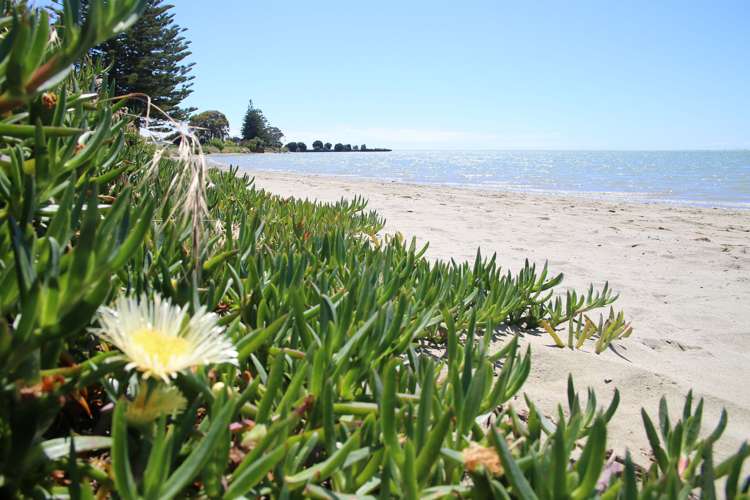 22 Trewavas Street Motueka_1