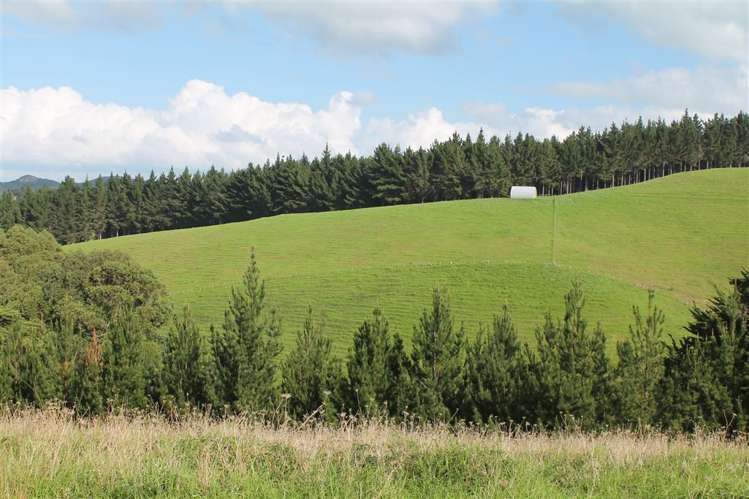 Taraunui Road Parua Bay_5