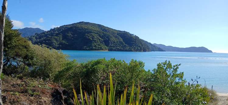 81 Awaroa Inlet Awaroa_27