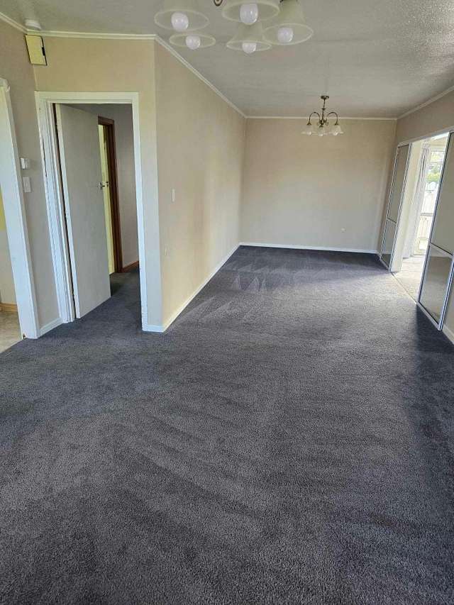 167 McMurdo Street Tinwald_3