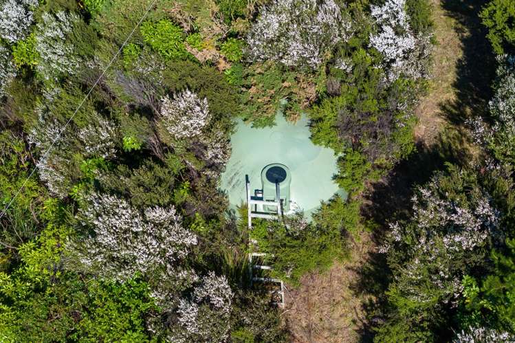 1786 Port Underwood Road Marlborough Sounds_66