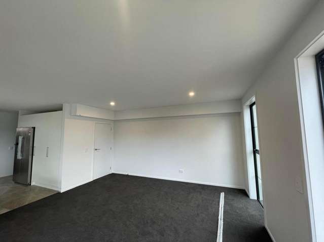 C/2 Quentin Avenue North Dunedin_4