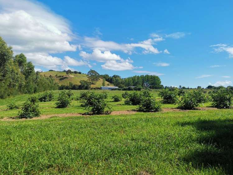 182 Port Marsden Highway Ruakaka_9