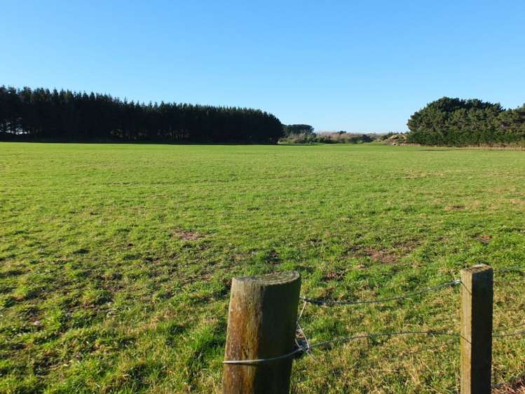 29 Edinburgh Terrace Foxton Beach_10