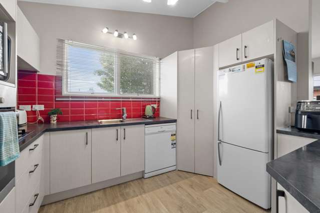 29 Agnes Street Tinwald_1