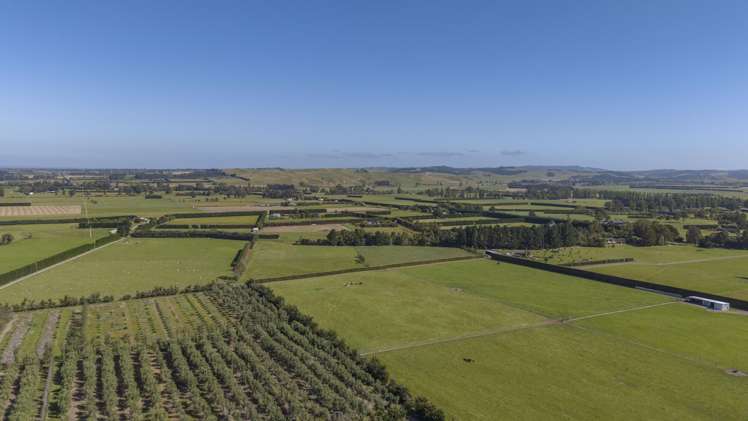 206 Mount Brown Road Broomfield_45