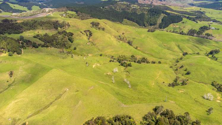 608b West Coast Road Makarau_34