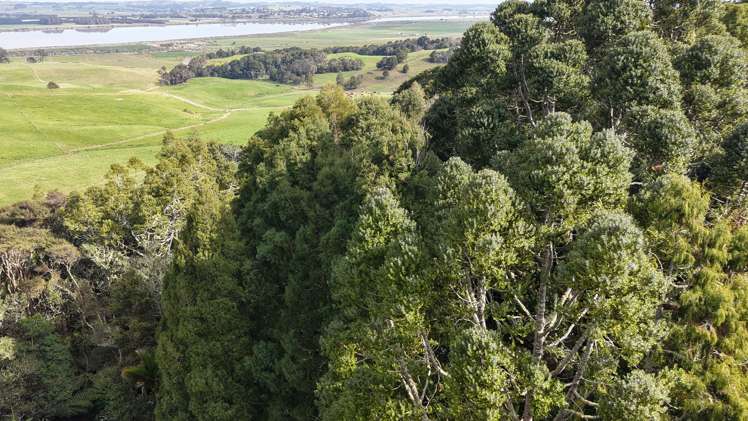 136 Whakahara Road Dargaville_29