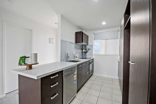 3d/51 Princes Street Onehunga_2