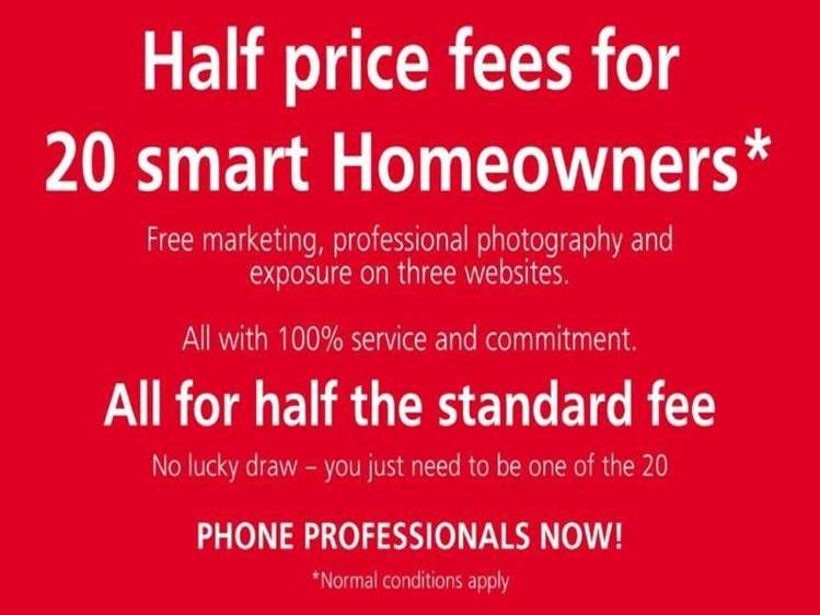 10 Hornsey Road Bluff Hill_18