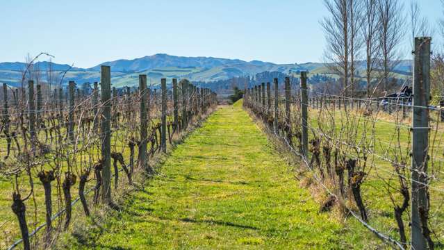 148 Omihi Road Waipara_2