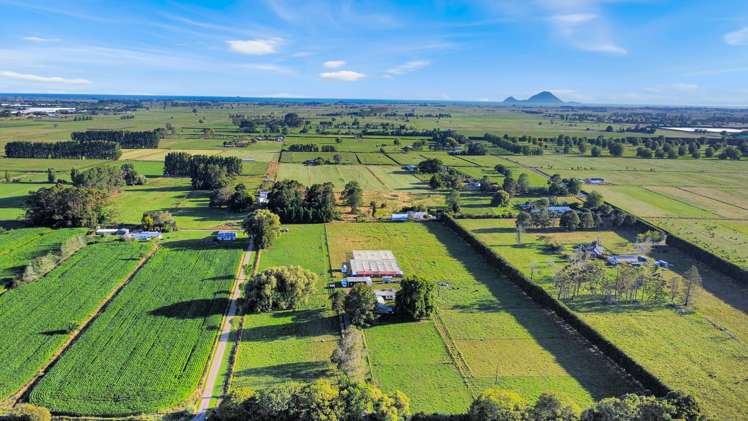 402 Awakeri Road Edgecumbe_2