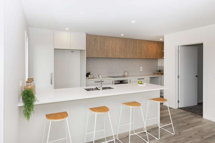 33 Monarch Drive Rolleston_2