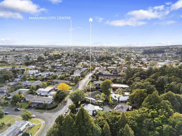 45 Scenic Drive Hillpark_22