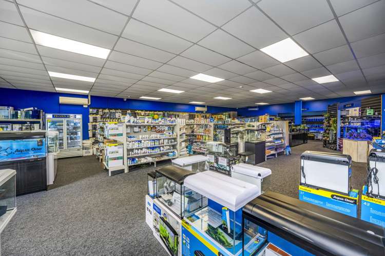 10/2 Tawa Drive Albany_16