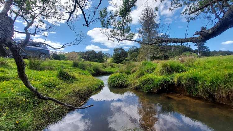 152 McBreen Road Hikurangi Rd1_45