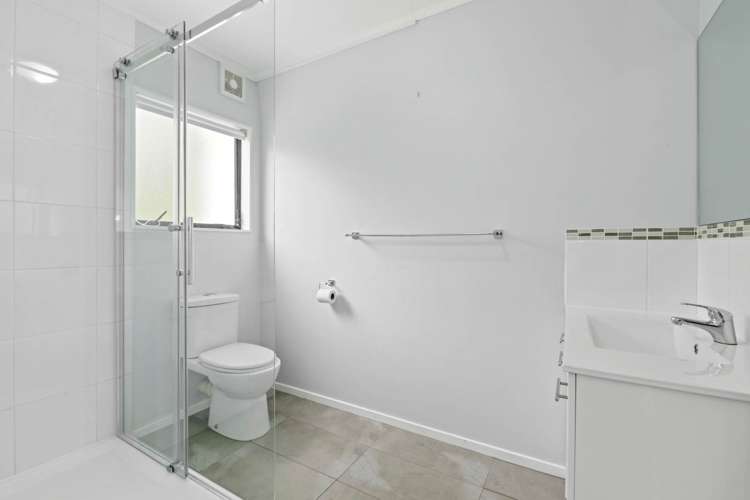 249d Wright Road Dairy Flat_12