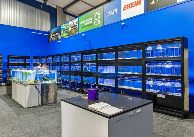 Address withheld Auckland_4