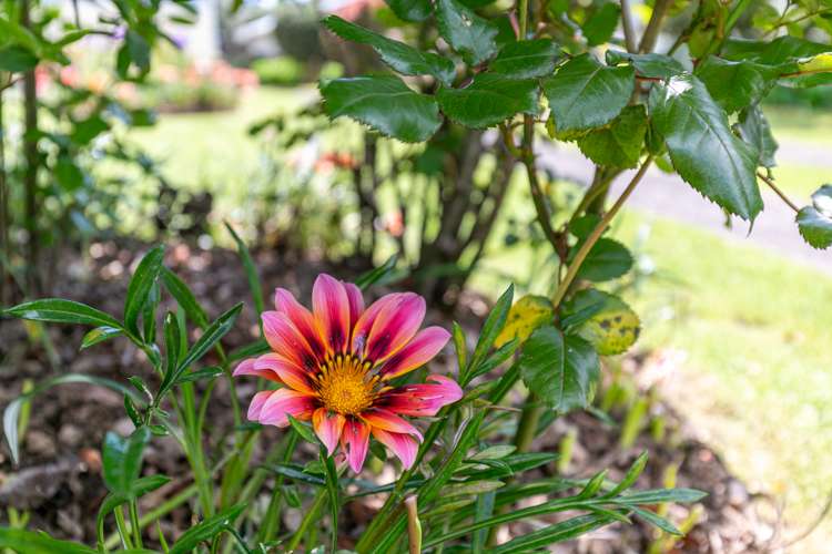 562 Great South Road Huntly_27