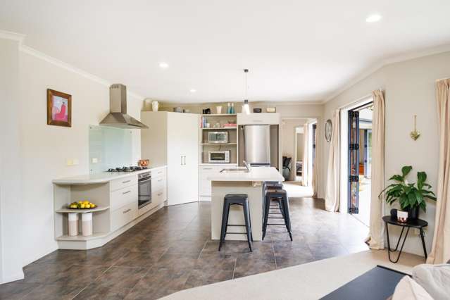 39 County Heights Drive Aokautere_2