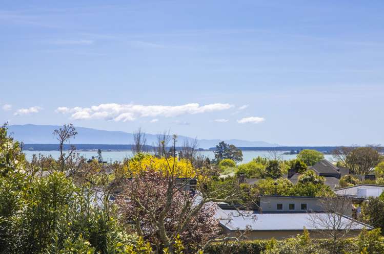 6 Dartmoor Place Richmond_5