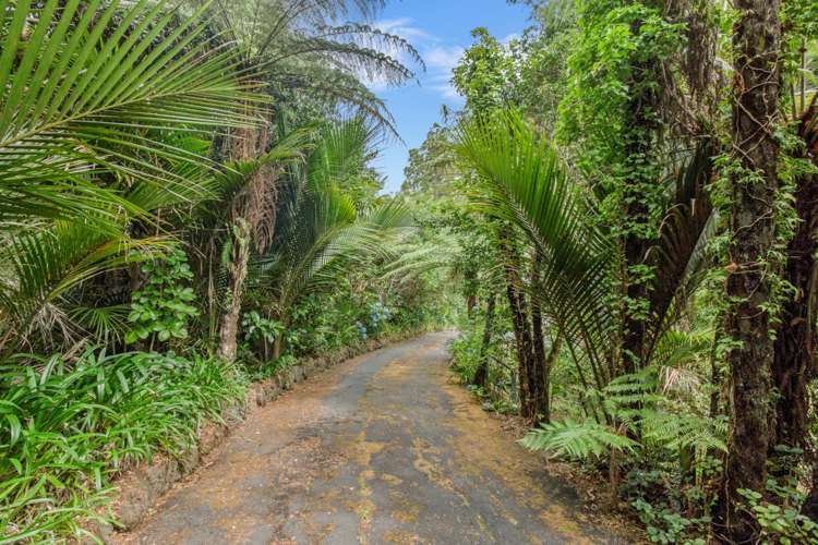 799 West Coast Road Oratia_11