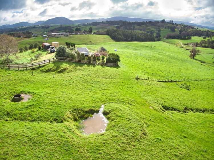 77 Vista Lane Kaiwaka_19