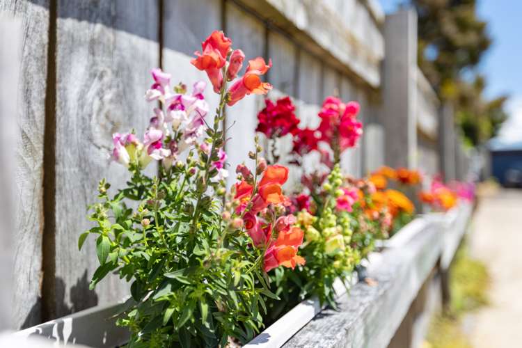 86 Mcgarvey Road Whakatane_15