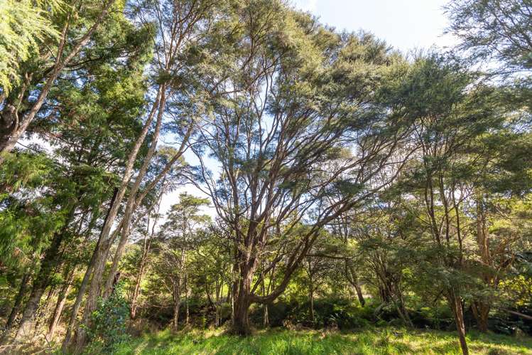 61 Spikes Way Whitianga_24