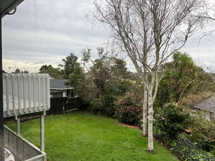 27 Park Hill Road Birkenhead_16