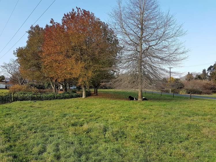 2 Penny Road Pirongia_5