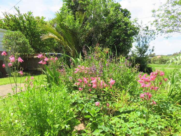 112 Colville Road Dargaville_25