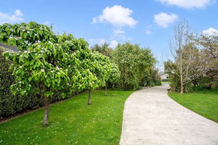 11 Gimson Street Masterton_19