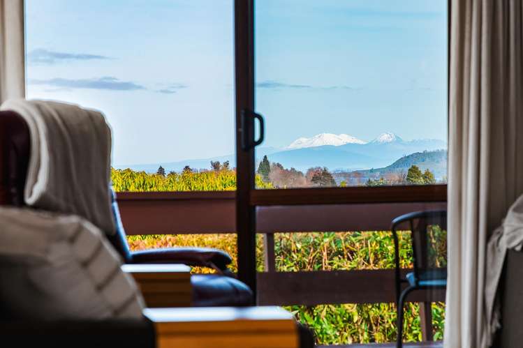 50 Woodward Street Nukuhau_11