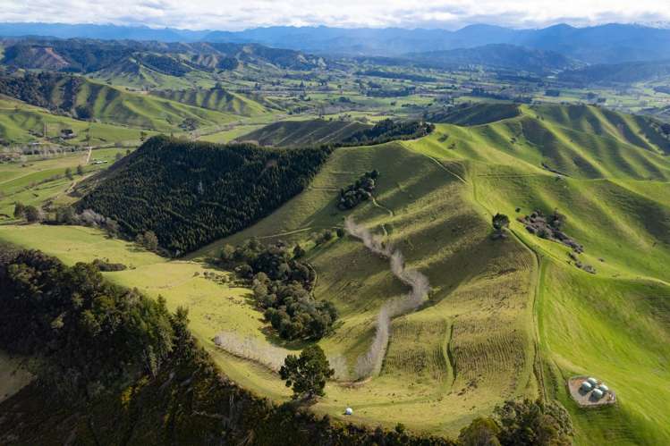 121 Win Valley Road Dovedale_42