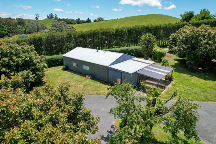 383 Old Highway Whakamarama_3