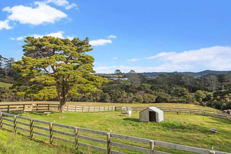 252 Amreins Road Taupaki_25