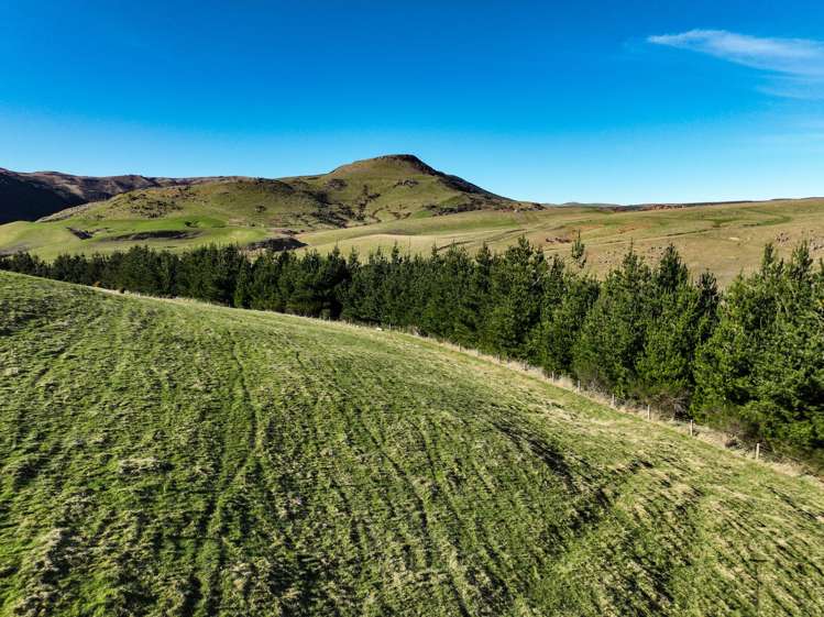 Hole and Corner Road Ferndale_9