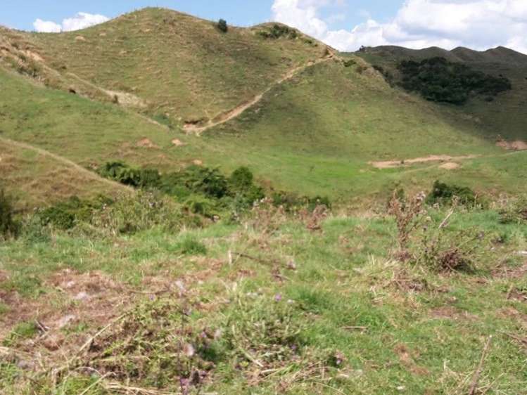 446 Stanley Road Te Popo_12