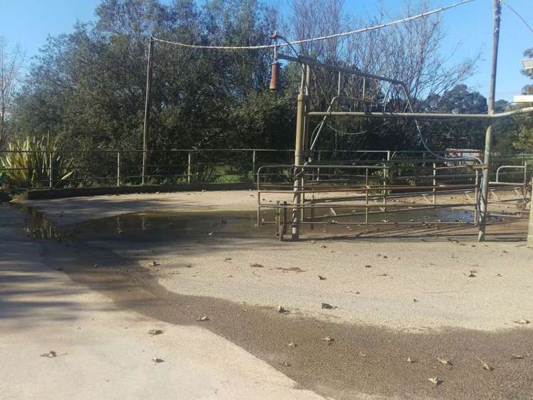 648 Scotsman Valley Road Tauwhare_22