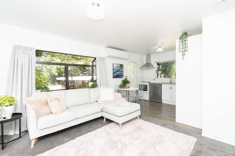 36d Frederick Drive Dinsdale_6