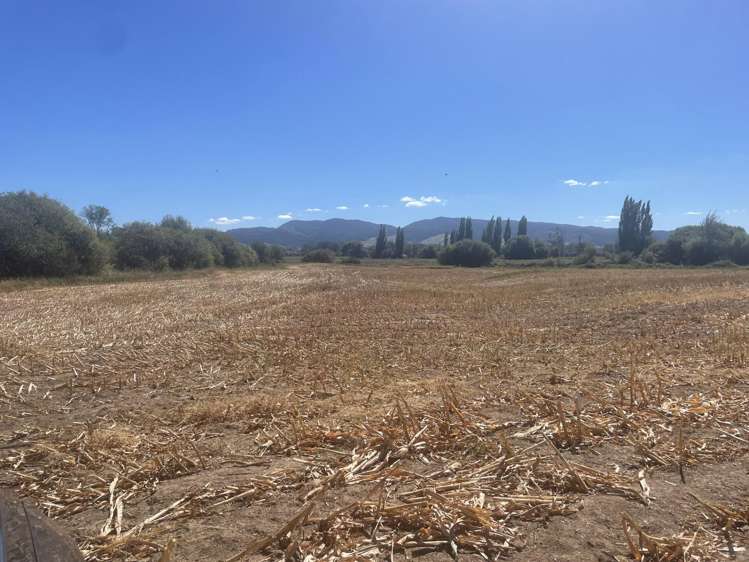 Broadlands Road Reporoa_2